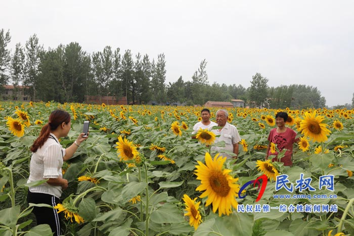 我縣黃河故道生態(tài)廊道萬(wàn)余棵向日葵怒放 市民觀賞流連忘返 我縣黃河故道生態(tài)廊道萬(wàn)余棵向日葵怒放 市民觀賞流連忘返