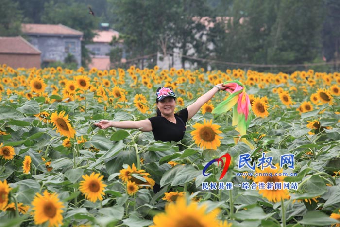 我縣黃河故道生態(tài)廊道萬(wàn)余棵向日葵怒放 市民觀賞流連忘返 我縣黃河故道生態(tài)廊道萬(wàn)余棵向日葵怒放 市民觀賞流連忘返