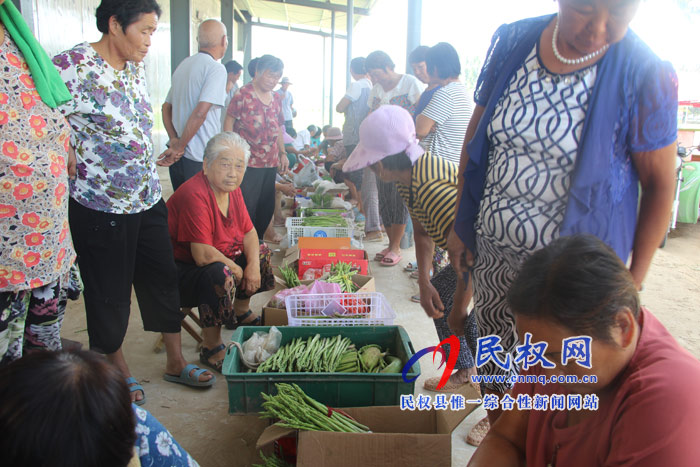 雙塔鎮(zhèn)大棚蘆筍收購(gòu)忙 雙塔鎮(zhèn)大棚蘆筍收購(gòu)忙