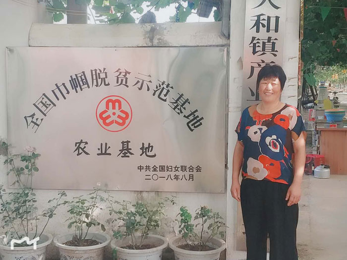 人和鎮(zhèn)雙飛種植專業(yè)合作社獲 “全國(guó)巾幗脫貧示范基地”稱號(hào)