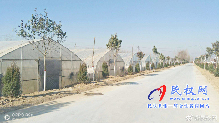 綠洲街道辦：城鄉(xiāng)融合譜新篇，鄉(xiāng)村生態(tài)又宜居