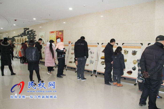“金豬拱?！液バ麓荷へi文物圖片聯(lián)展”走進(jìn)民權(quán)
