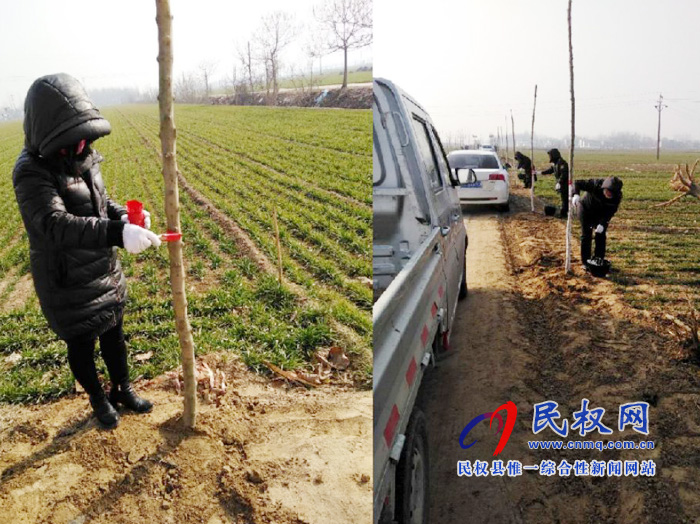 我縣各鄉(xiāng)鎮(zhèn)(街道辦)開展新春植樹活動(dòng) 我縣各鄉(xiāng)鎮(zhèn)(街道辦)開展新春植樹活動(dòng)