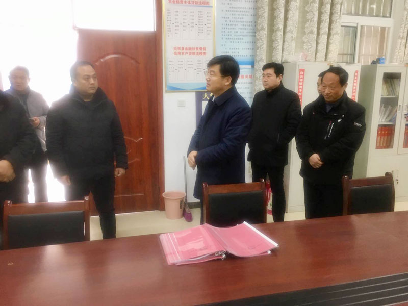 縣委副書記、縣長張團(tuán)結(jié)到我縣部分鄉(xiāng)鎮(zhèn)督導(dǎo)脫貧攻堅(jiān)工作