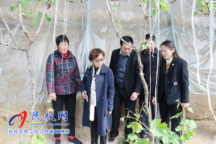 全國(guó)婦聯(lián)到我縣調(diào)研《中國(guó)婦女報(bào)》進(jìn)鄉(xiāng)村及巾幗脫貧示范基地情況 全國(guó)婦聯(lián)到我縣調(diào)研《中國(guó)婦女報(bào)》進(jìn)鄉(xiāng)村及巾幗脫貧示范基地情況