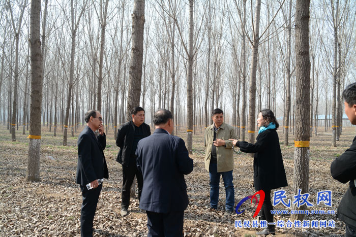 省森防站領導蒞臨民權(quán)縣檢查指導森林病蟲害防控工作 省森防站領導蒞臨民權(quán)縣檢查指導森林病蟲害防控工作
