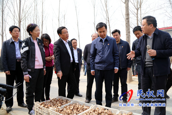 共植媒體林 同迎故道春——省委常委、宣傳部長(zhǎng)江凌蒞民植新綠、造“媒林”