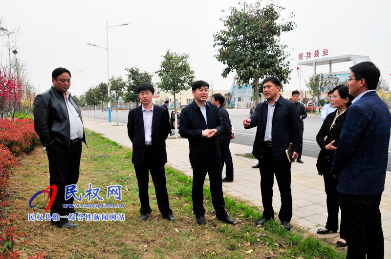 縣委副書記、縣長張團(tuán)結(jié)查看我縣城區(qū)綠化工作開展情況