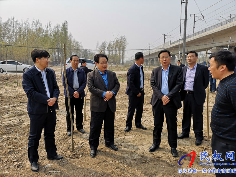 副市長張家明調研我縣國土綠化提升和生態(tài)廊道建設進展況 副市長張家明調研我縣國土綠化提升和生態(tài)廊道建設進展況