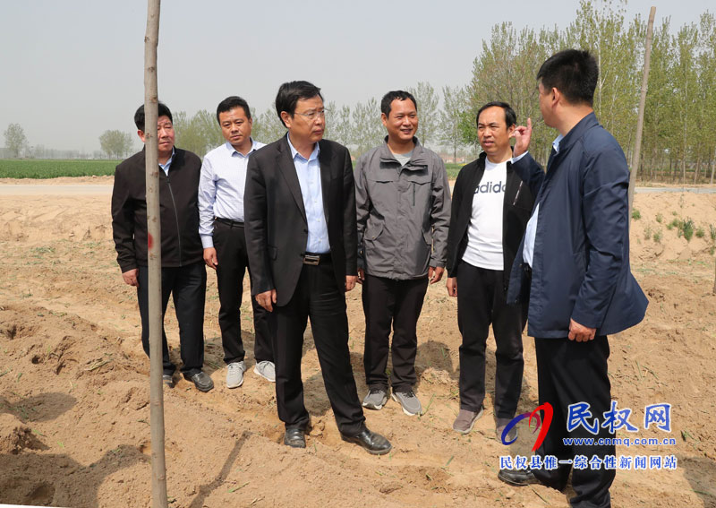 縣委書記姬脈常調(diào)研我縣國土綠化提升和生態(tài)廊道建設進展情況 縣委書記姬脈常調(diào)研我縣國土綠化提升和生態(tài)廊道建設進展情況