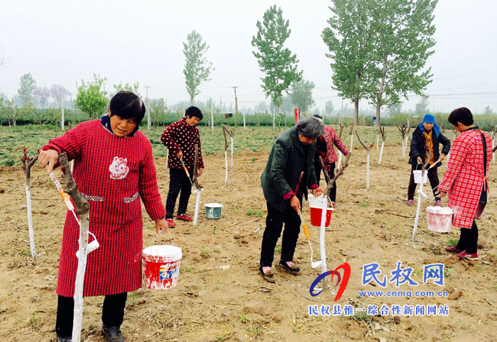 花園鄉(xiāng)推進(jìn)植樹造林打造“森林花園” 花園鄉(xiāng)推進(jìn)植樹造林打造“森林花園”