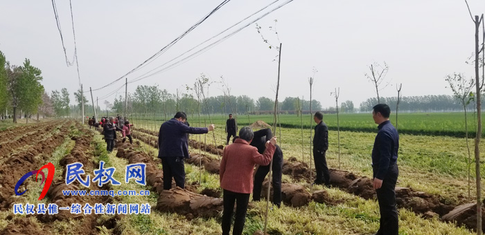 莊子鎮(zhèn)積極開展國土綠化、植樹造林活動