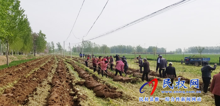 莊子鎮(zhèn)積極開展國土綠化、植樹造林活動