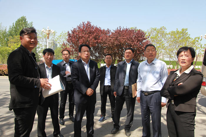 縣委常委、常務(wù)副縣長李啟峰查看我縣城區(qū)綠化工作進展情況