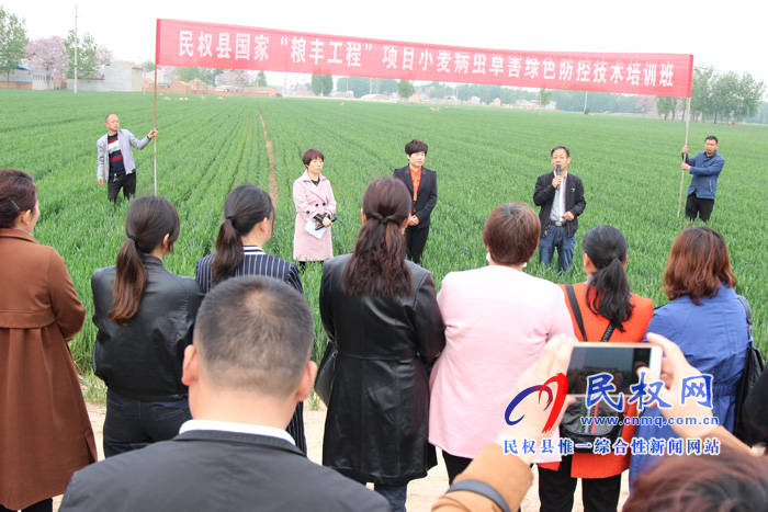 民權(quán)縣召開2019年小麥赤霉病統(tǒng)防統(tǒng)治現(xiàn)場會