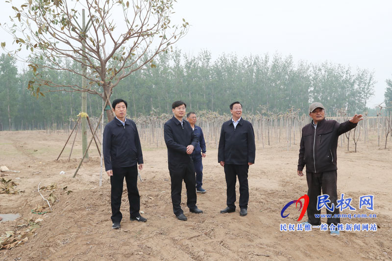 市委常委、宣傳部長王全周調(diào)研我縣申甘林帶“媒林”建設(shè)及鄉(xiāng)村旅游發(fā)展情況
