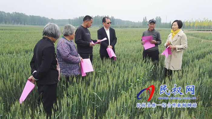 深入實際 服務(wù)三農(nóng)---民權(quán)縣農(nóng)業(yè)農(nóng)村局農(nóng)技人員傾情服務(wù)在田間 深入實際 服務(wù)三農(nóng)---民權(quán)縣農(nóng)業(yè)農(nóng)村局農(nóng)技人員傾情服務(wù)在田間
