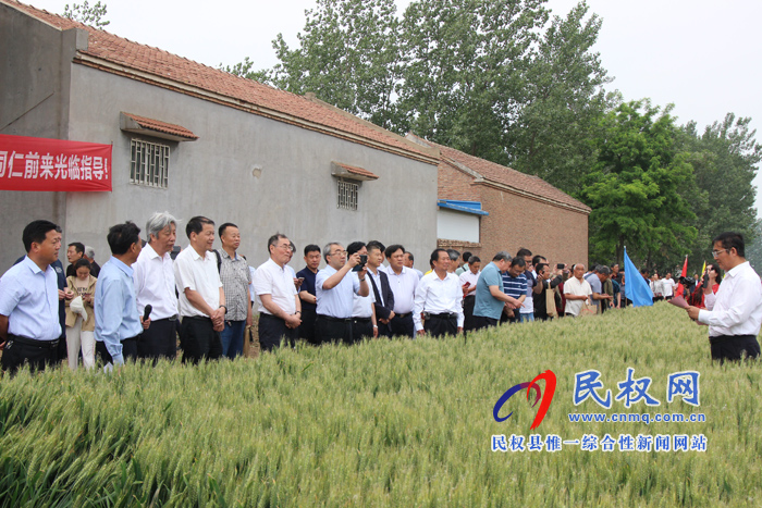 河南省2019年國審小麥新品種鄭麥1860現(xiàn)場觀摩會(huì)在民權(quán)縣召開