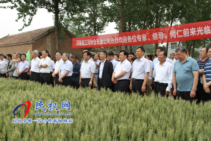 河南省2019年國審小麥新品種鄭麥1860現(xiàn)場觀摩會(huì)在民權(quán)縣召開