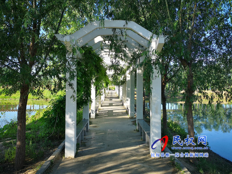 圖說(shuō)民權(quán)丨水鄉(xiāng)任莊 圖說(shuō)民權(quán)丨水鄉(xiāng)任莊