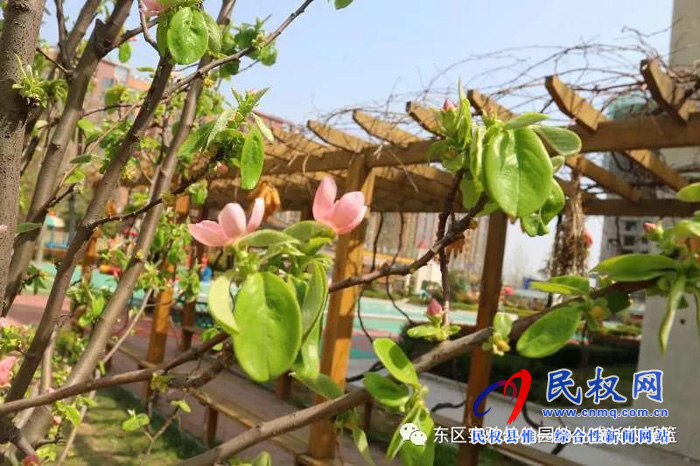 民東新區(qū)實(shí)驗(yàn)幼兒園2019年秋季學(xué)位預(yù)訂開始啦！