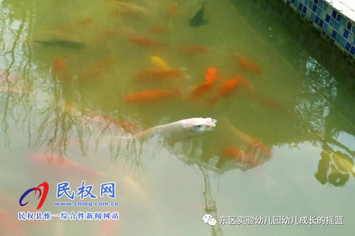 民東新區(qū)實(shí)驗(yàn)幼兒園2019年秋季學(xué)位預(yù)訂開始啦！