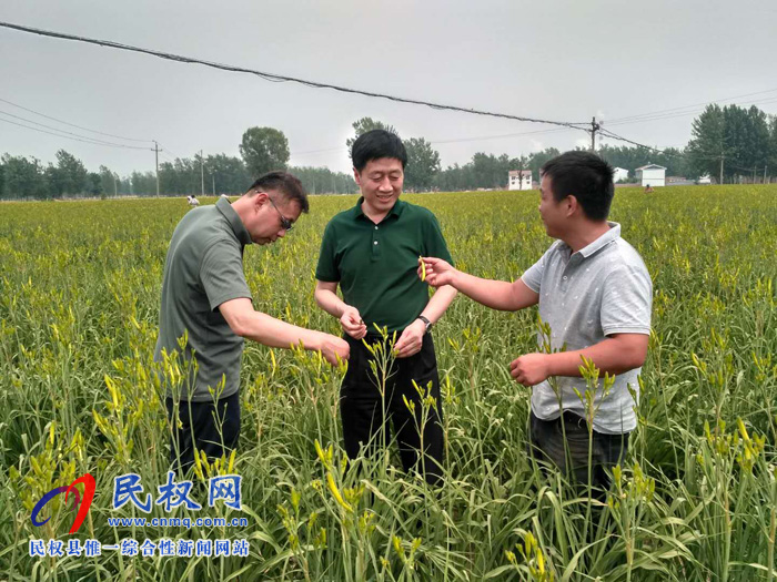 縣委常委、副縣長(zhǎng)房季到孫六鎮(zhèn)劉炳莊村檢查調(diào)研扶貧工作