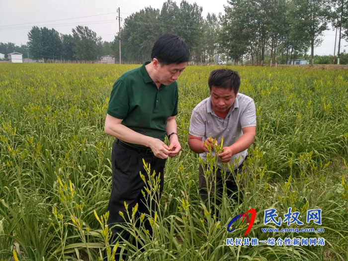 縣委常委、副縣長(zhǎng)房季到孫六鎮(zhèn)劉炳莊村檢查調(diào)研扶貧工作