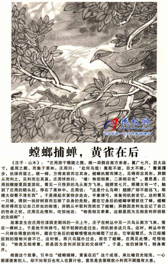 莊子成語故事 | 《螳螂捕蟬，黃雀在后》《屠龍之技》