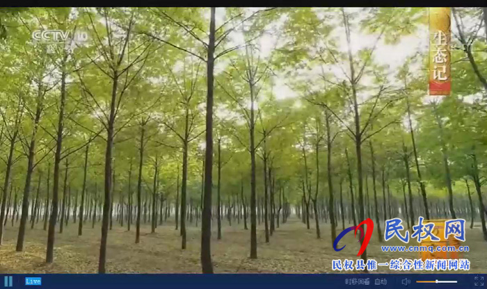 《中國影像方志?民權(quán)篇》在央視精彩播出后引發(fā)熱烈反響 《中國影像方志?民權(quán)篇》在央視精彩播出后引發(fā)熱烈反響