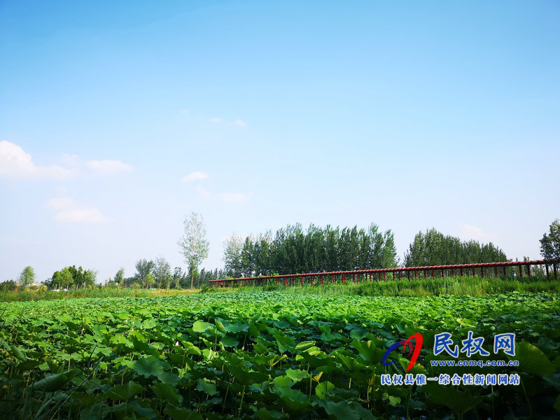 民權(quán)美景“民權(quán)藍(lán)” ? 民權(quán)美景“民權(quán)藍(lán)” ?