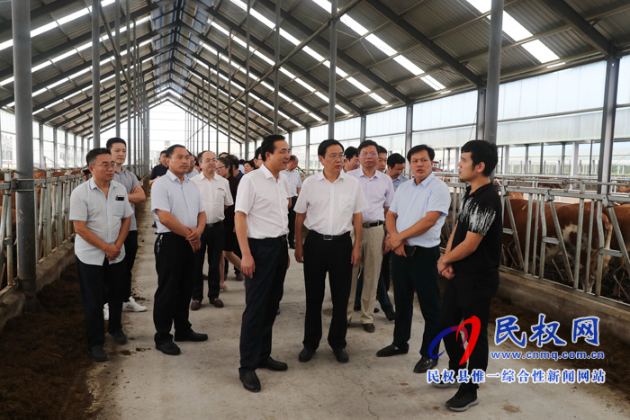 全市產(chǎn)業(yè)扶貧、金融扶貧暨結(jié)對(duì)幫扶民權(quán)縣工作推進(jìn)會(huì)在我縣召開(kāi)
