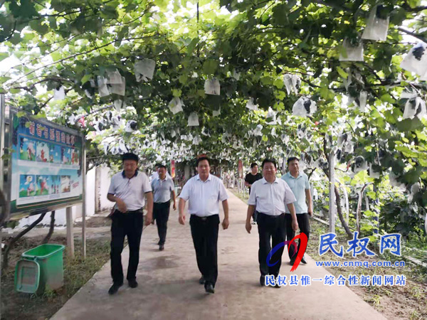 副縣長孟祥亮到人和鎮(zhèn)雙飛莊園調研生態(tài)農業(yè) 副縣長孟祥亮到人和鎮(zhèn)雙飛莊園調研生態(tài)農業(yè)