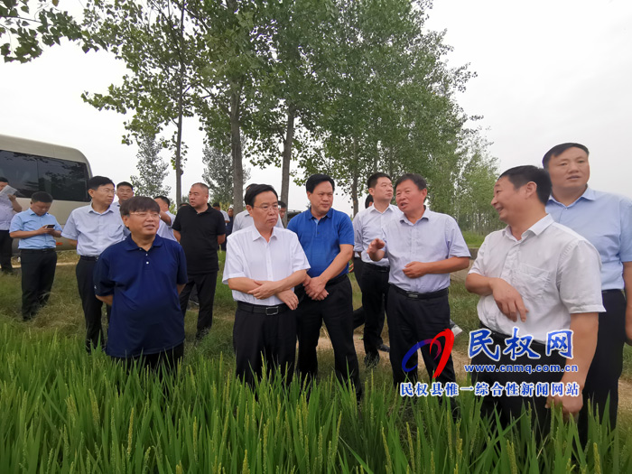 市人大常委會副主任、縣委書記姬脈常調(diào)研我縣稻漁綜合種養(yǎng)工作