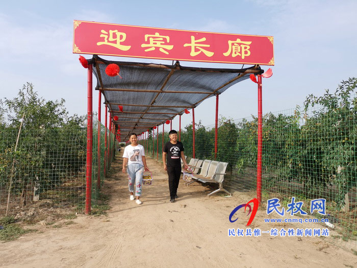 民權(quán):旭光冬棗農(nóng)家樂(lè) 采摘園里話豐收 民權(quán):旭光冬棗農(nóng)家樂(lè) 采摘園里話豐收