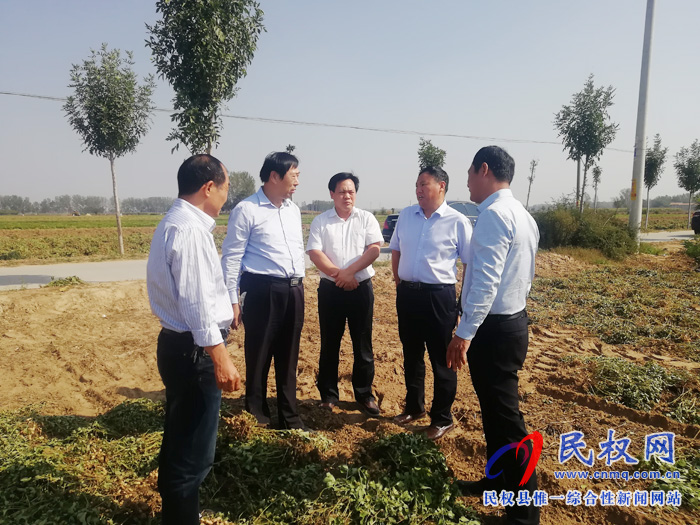 省農(nóng)業(yè)農(nóng)村廳黨組成員、總農(nóng)藝師王俊忠到雙塔鎮(zhèn)檢查指導(dǎo)“三秋”生產(chǎn)工作
