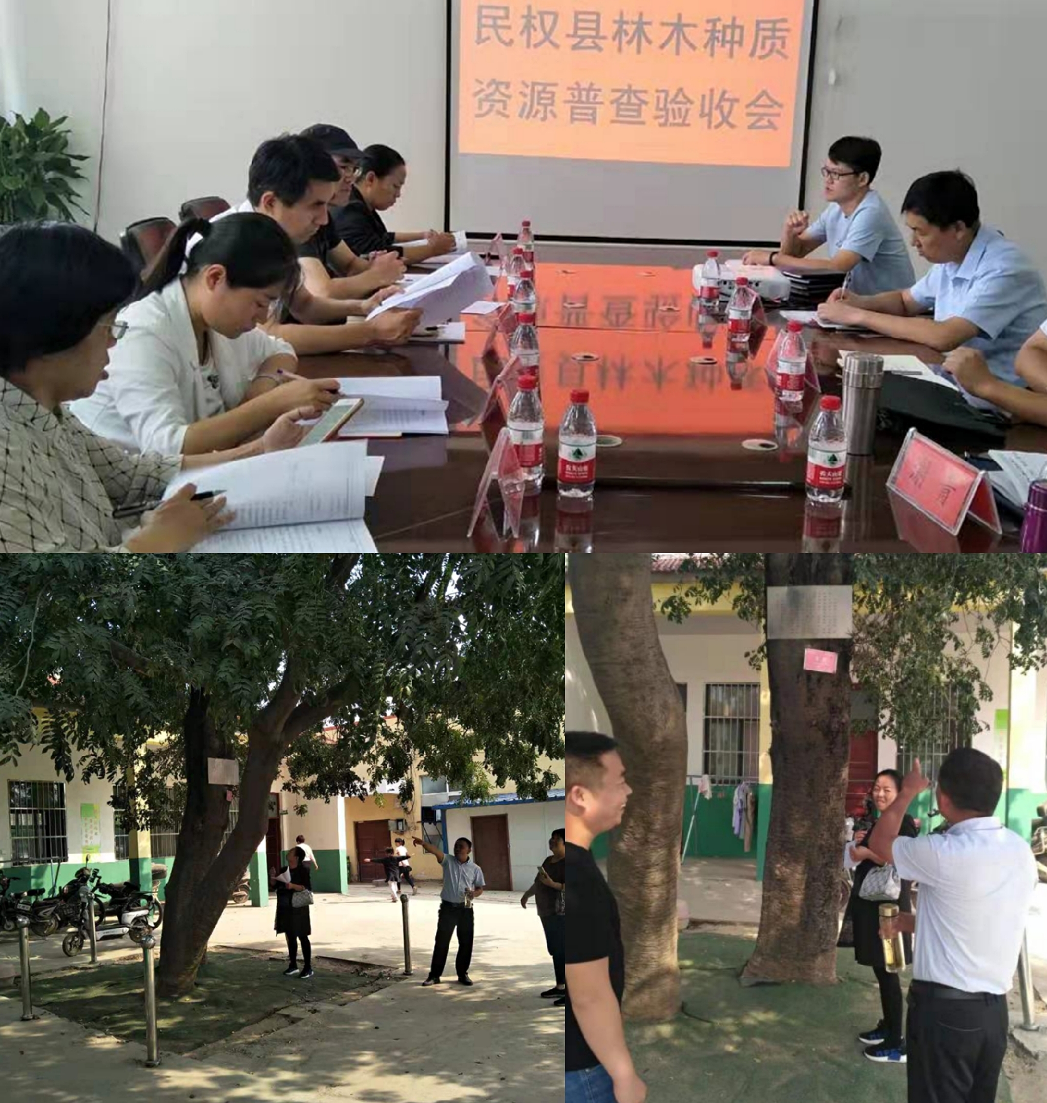 民權(quán)縣林木種質(zhì)資源普查工作接受市級驗收 民權(quán)縣林木種質(zhì)資源普查工作接受市級驗收