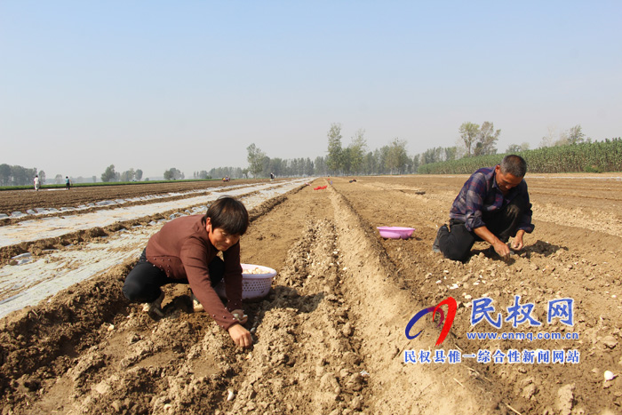 雙塔鎮(zhèn)調(diào)整農(nóng)業(yè)產(chǎn)業(yè)結(jié)構(gòu)助力鄉(xiāng)村振興 雙塔鎮(zhèn)調(diào)整農(nóng)業(yè)產(chǎn)業(yè)結(jié)構(gòu)助力鄉(xiāng)村振興