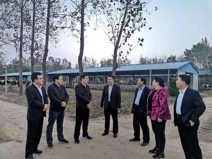 市人大常委會(huì)副主任、縣委書記姬脈常到我縣部分鄉(xiāng)鎮(zhèn)調(diào)研產(chǎn)業(yè)扶貧項(xiàng)目發(fā)展情況