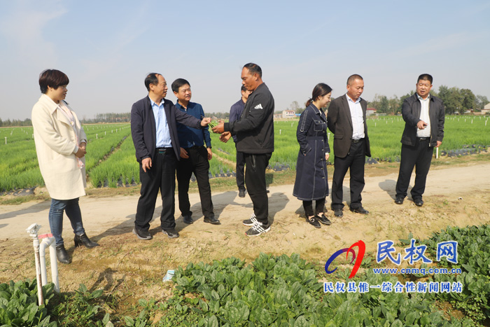 副縣長(zhǎng)張士彬、縣總工會(huì)主席瞿志君到白云寺鎮(zhèn)組織召開香蔥發(fā)展項(xiàng)目專班會(huì)議