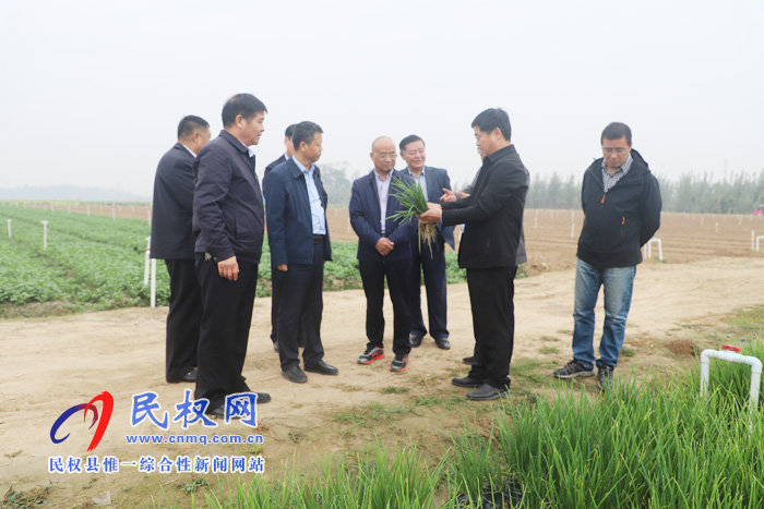 商丘市2019年主要農(nóng)作物生產(chǎn)全程機(jī)械化現(xiàn)場會(huì)在我縣召開 商丘市2019年主要農(nóng)作物生產(chǎn)全程機(jī)械化現(xiàn)場會(huì)在我縣召開