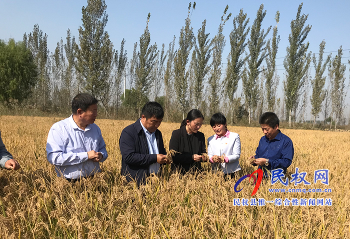 市農(nóng)業(yè)農(nóng)村局水產(chǎn)科領(lǐng)導(dǎo)蒞民查看健康示范場資質(zhì)暨稻漁綜合種養(yǎng)稻田生產(chǎn)情況 市農(nóng)業(yè)農(nóng)村局水產(chǎn)科領(lǐng)導(dǎo)蒞民查看健康示范場資質(zhì)暨稻漁綜合種養(yǎng)稻田生產(chǎn)情況