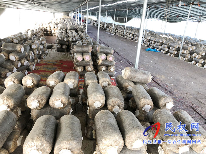 老顏集鄉(xiāng)趙莊村“產業(yè)鋪路 引領脫貧致富” 老顏集鄉(xiāng)趙莊村“產業(yè)鋪路 引領脫貧致富”