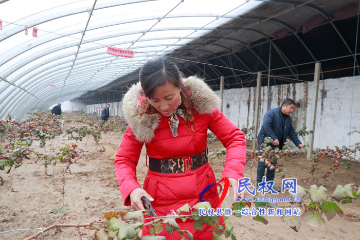 民權(quán)全方位引導(dǎo)農(nóng)民工返鄉(xiāng)創(chuàng)業(yè) 激活發(fā)展動(dòng)能三萬(wàn)多人返鄉(xiāng)創(chuàng)業(yè)帶富鄉(xiāng)鄰 民權(quán)全方位引導(dǎo)農(nóng)民工返鄉(xiāng)創(chuàng)業(yè) 激活發(fā)展動(dòng)能三萬(wàn)多人返鄉(xiāng)創(chuàng)業(yè)帶富鄉(xiāng)鄰
