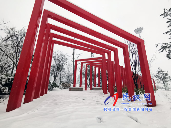 圖說(shuō)|河南民權(quán)：2020年的第一場(chǎng)雪，太美了吧!