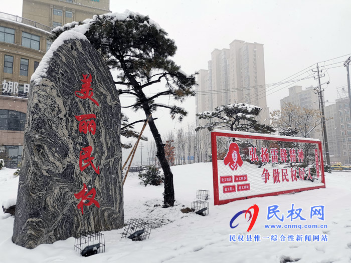 圖說(shuō)|河南民權(quán)：2020年的第一場(chǎng)雪，太美了吧!