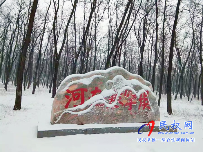 圖說(shuō)|河南民權(quán)：2020年的第一場(chǎng)雪，太美了吧!