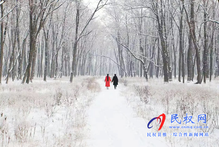 圖說(shuō)|河南民權(quán)：2020年的第一場(chǎng)雪，太美了吧!
