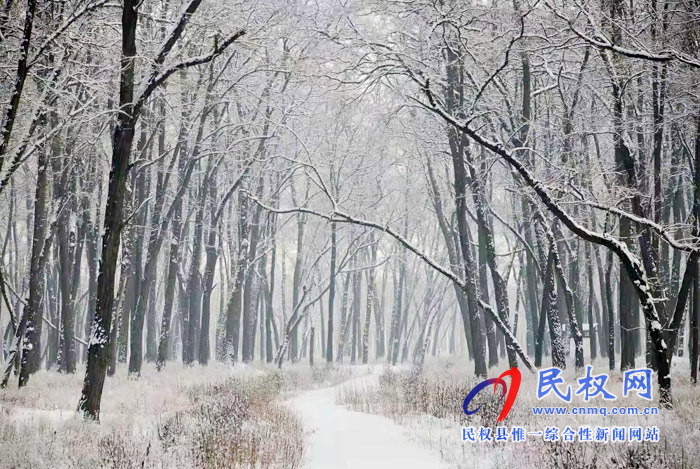 圖說(shuō)|河南民權(quán)：2020年的第一場(chǎng)雪，太美了吧!