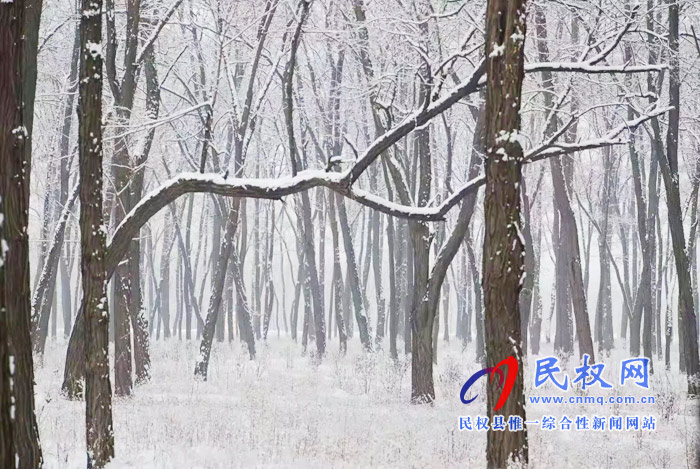圖說(shuō)|河南民權(quán)：2020年的第一場(chǎng)雪，太美了吧!